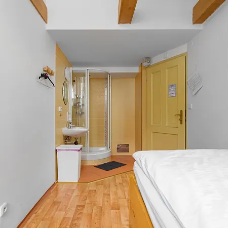 Wellness Hotel 3*