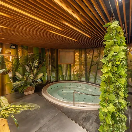 Wellness Hotel 3*