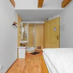 Wellness ホテル 3*