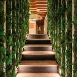 Wellness 3* براغ